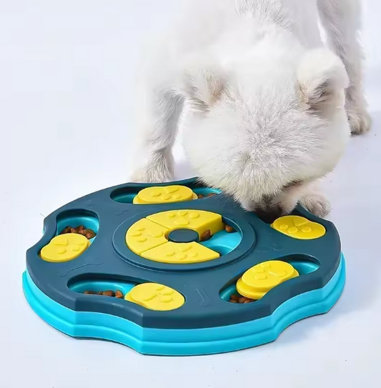 Benefits of Puzzle Feeders for Dogs and Cats